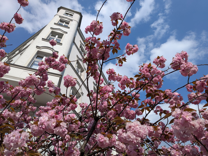 ... als das Pixel 9a. (Bild: Tobias Költzsch/Golem.de)